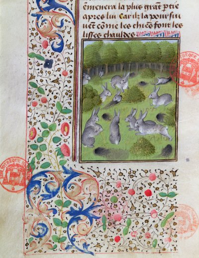Konijnenhol, uit het Livre de la Chasse door Gaston Phebus de Foix (1331-91) door French School