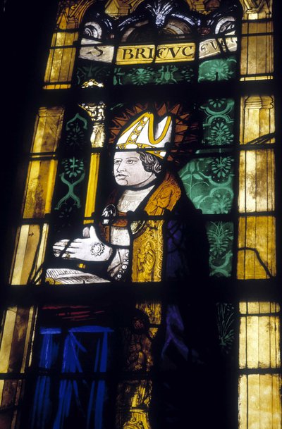 Saint Brieuc - glas-in-lood van de Kerk van Saint Savior van Dinan door French School