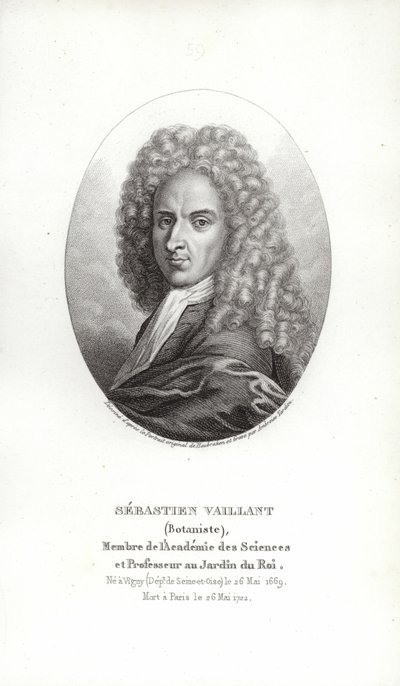 Sébastien Vaillant door French School