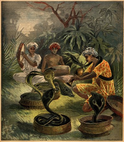 Slangenbezweerders (cobra