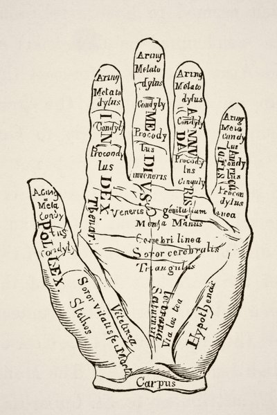Voorbeeld van de linkerhand met de lijnen en hun horoscopische benamingen, uit Wetenschap en Literatuur in de Middeleeuwen door Paul Lacroix, uitgegeven in Londen 1878 door French School