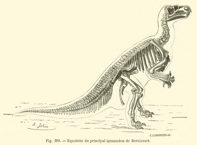Skelet van de belangrijkste iguanodon van Bernissart door French School