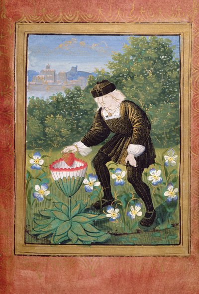Miniatuur van Pierre Sala die 