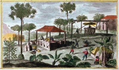 Suikerproductie in West-Indië, detail van 00155 - in 