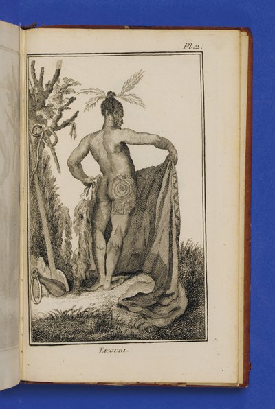 Tacouri, illustratie uit 