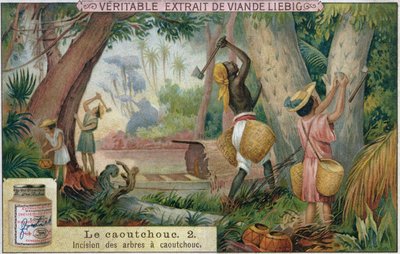 Rubberbomen tappen, promotionele reclamekaart voor Veritable Extrait de Viande Liebig, eind 19e eeuw door French School