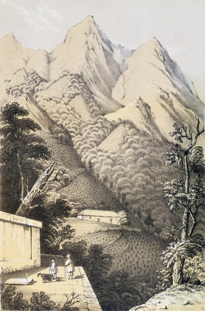 Theeplantages in het Groene Thee district van China, uit A Journey to the Tea Countries of China, voor het eerst gepubliceerd in 1852, door Robert Fortune (1812-1880) door French School