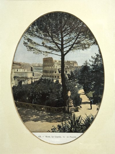 Het Colosseum gezien vanaf de Palatijnse heuvel in Rome door French School