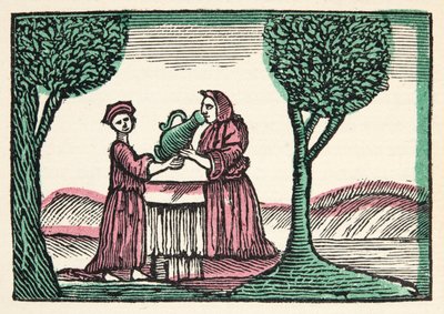 De fee uit Histories or Tales of Past Times verteld door Moeder de Gans, met moraal, door M Perrault, pub. 1925 (handgekleurde houtsnede) door French School