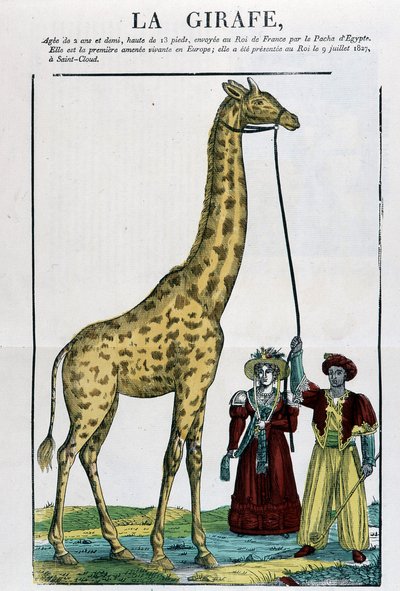 De Giraffe - Beeld van Epinal door French School