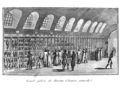 De Grote Galerij van het Museum voor Natuurgeschiedenis in Parijs door French School
