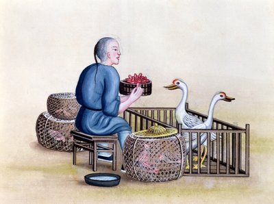 De pluimveehandelaar, uit een boek over de straatroepen van Peking, c.1785 door French School