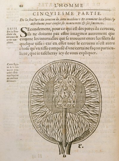 De structuur van de hersenen, uit De Homine Figuris door Rene Descartes (1596-1650) gepubliceerd in Den Haag, 1662 door French School