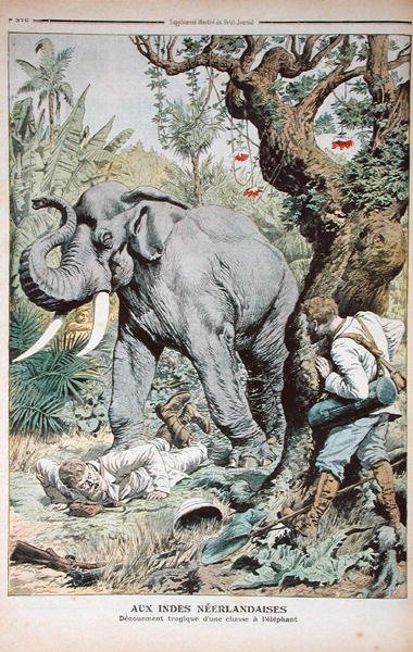 Het Tragische Einde van een Olifantenjacht in India, illustratie uit Le Petit Journal, 25 november 1906 door French School