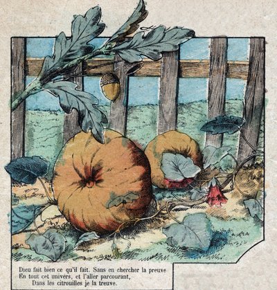 De eikel en de pompoen. Fabels van Jean de La Fontaine. door French School