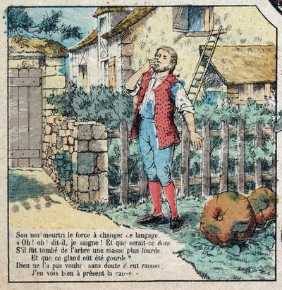 De eikel en de pompoen. Fabels van Jean de La Fontaine. Epinal afbeelding eind 19e eeuw. door French School