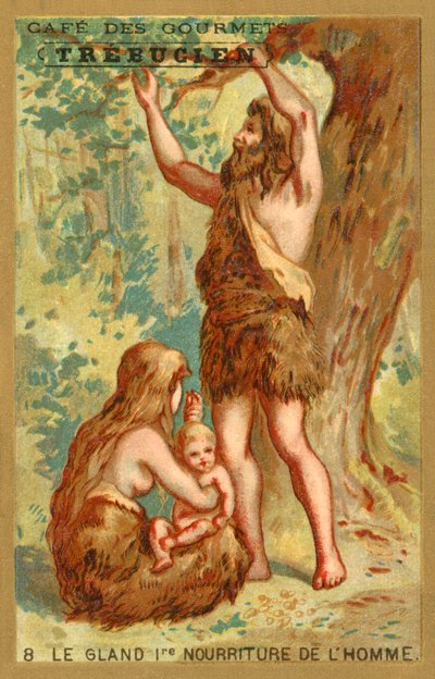 De eikel, het eerste voedsel van de mens door French School