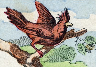 De kardinaal. Gravure in "Buffon Alphabet des Oiseaux n 2". 3e Serie N 2. Imaging of Epinal, Epinal, eind 19e eeuw. 16 pagina