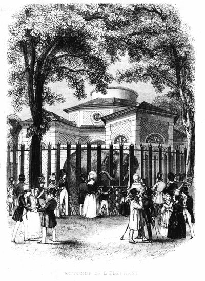 De olifantenrotonde van de plantentuin in Parijs - gravure door French School