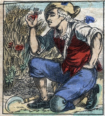 De reus van Brobdingnag greep Lemuel Gulliver. Illustratie voor "Gulliver
