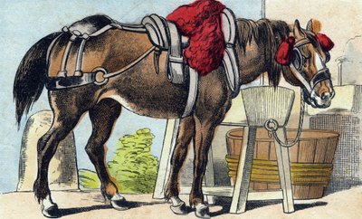 Het paard. Gravure in "Buffon Alphabet des Animaux". 3e Serie N 1. Imaging of Epinal, Epinal, eind 19e eeuw. 16 pagina