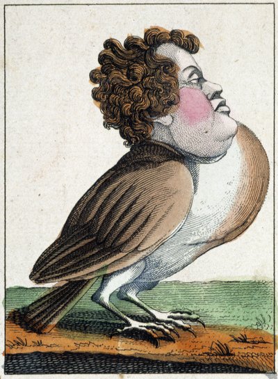 De duif in karikatuur, studie van karakter 