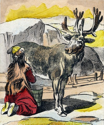 Het melken van het rendier. Gravure in "Buffon Alphabet des Animaux". 3e Serie N 1. Imaging of Epinal, Epinal, eind 19e eeuw. 16 pagina