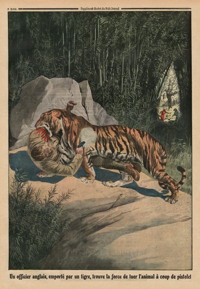 Tijger valt een Britse officier aan, achteromslagillustratie uit 