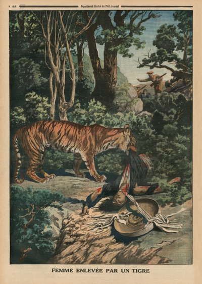 Tijger die een vrouw aanvalt, achteromslag illustratie van 
