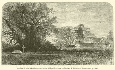 Graven van mevrouw Livingstone en Kirkpatrick onder een baobab, bij Shoupanga House door French School