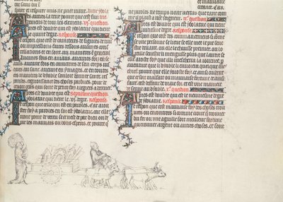 Vervoer van bezittingen in een door ossen getrokken wagen, onvoltooide miniatuur uit De Bijbel van Jean de Sy, ca.1355 door French School