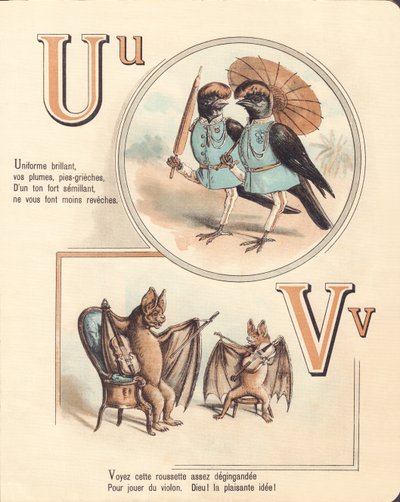 U V: Urubu, uniform, vampier, viool door French School