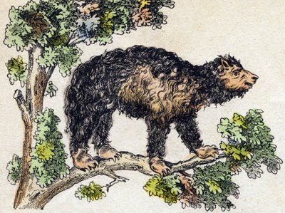 Unau (luiaard). Gravure in "Alphabet des animaux sauvages". 9e Serie. Beeldverhaal van Epinal, Pellerin, drukker-uitgever, circa 1870. Gravures op hout, gestencild. 16 pagina