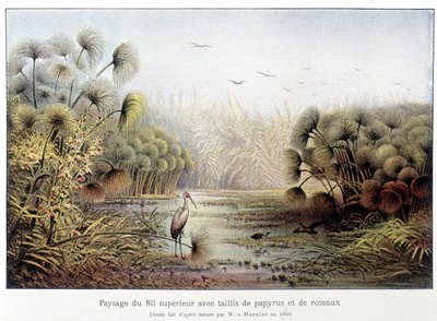 Bovenste Nijlpassage met papyrus en rietbos door French School