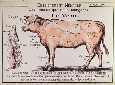Kalfsvlees: diagram met de verschillende stukken vlees door French School