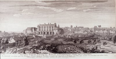 Uitzicht op het Koninklijk Kasteel van Amboise vanaf de kust van de velden door French School