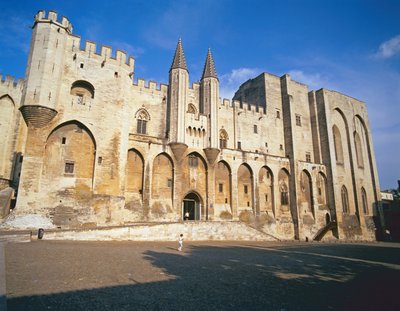 Uitzicht op de ingangsfacade van het paleis door French School