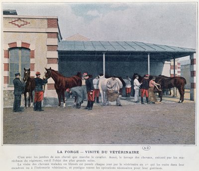 Bezoek van de legerdierenarts aan de kazerne, 1897 door French School