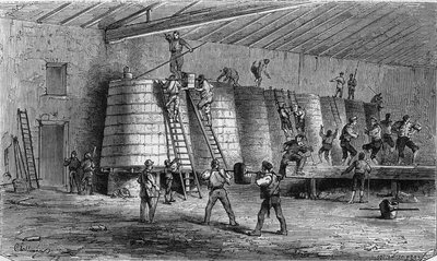 Wijnbouw in de Medoc: stampen en in de kuip doen. Gravure in 