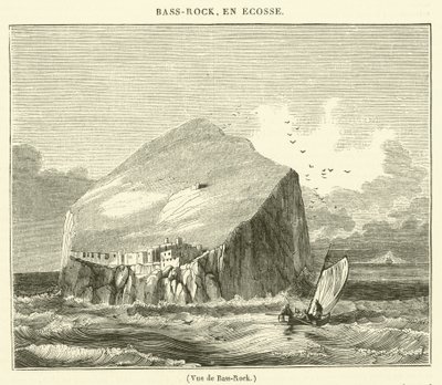 Uitzicht op Bass-Rock (gravure) door French School