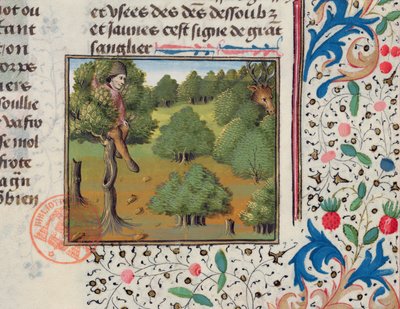 Wachten op herten, verborgen in een boom, uit het Livre de la Chasse door Gaston Phebus door French School
