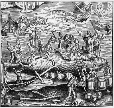 Walvisvangst aan de Franse kust van de Atlantische Oceaan in de Middeleeuwen. Gravure in 