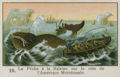 Walvisvangst voor de kust van Zuid-Amerika door French School