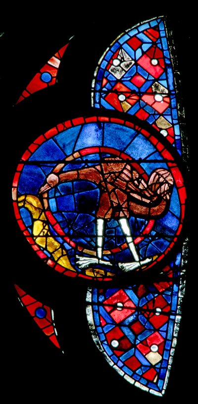 Raam w115 met de Schepping van de vogels - een ongebruikelijke vogel door French School