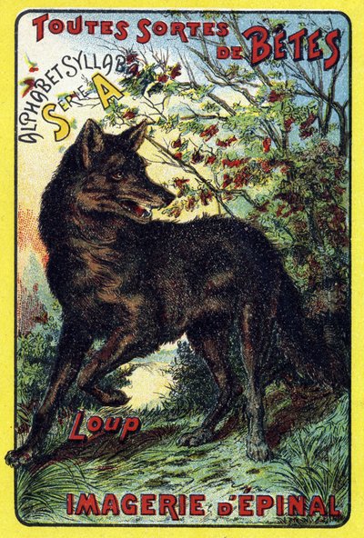 Wolf. Omslag van "Syllabar alphabet all kinds of beets". Serie A. Pellerin et Cie, drukker-uitgevers, Epinal, eind 19e eeuw. Chromolithografieën. Klein 8-pagina
