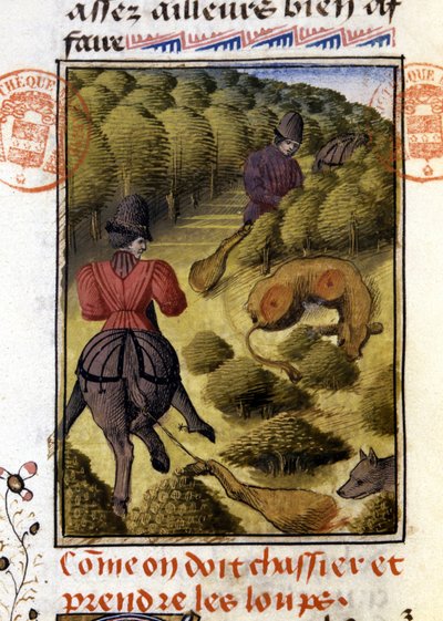 Wolvenjacht - in 