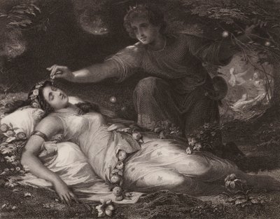 Shakespeare: Een Midzomernachtsdroom door Friedrich Schwoerer