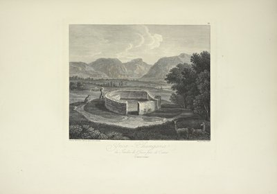 Ynca-Chungana, uit de tuin van de Inca bij Canar, getekend door Gmelin, gegraveerd door Morel, illustratie uit 
