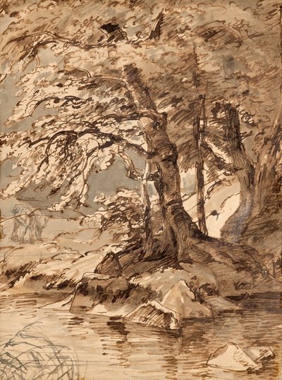 Boomstudie door Friedrich August Mathias Gauermann