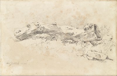 Liggende holle boomstam door Friedrich August Mathias Gauermann